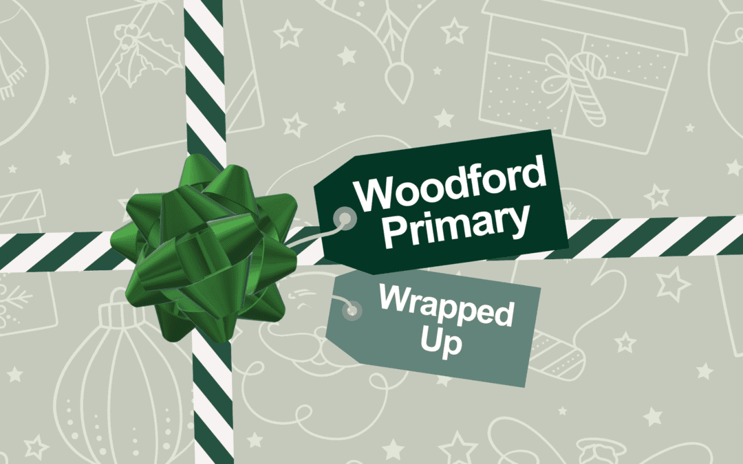 Wrapped up: December Highlights