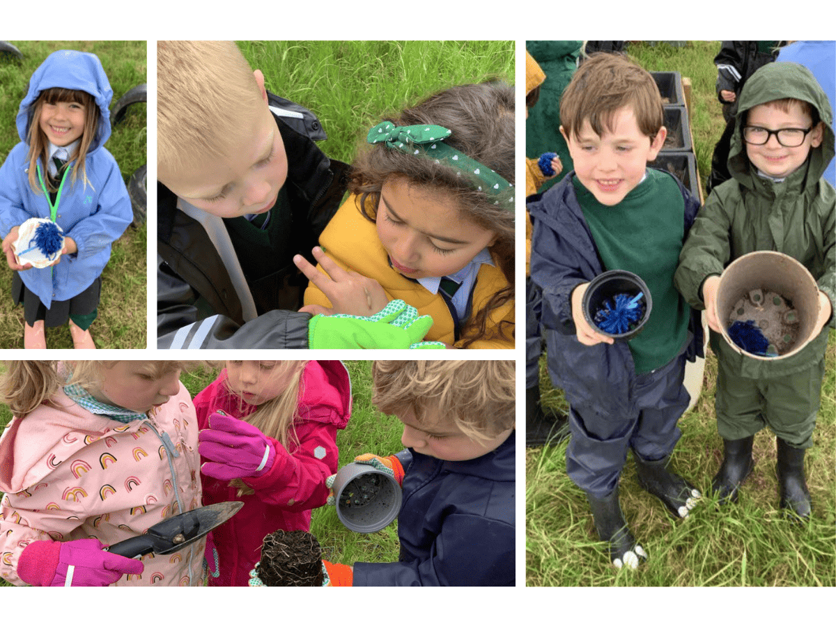 Woodford Primary School pupils from Reception enjoy learning in Forest School sessions, holding up plant pots and inspecting insects. 