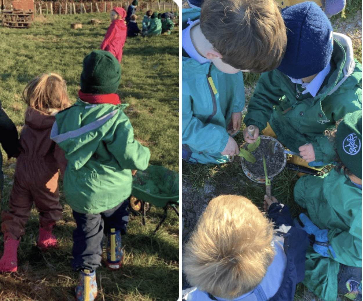 Pupils playing with a wheelbarrow and taking part in forest school activities.