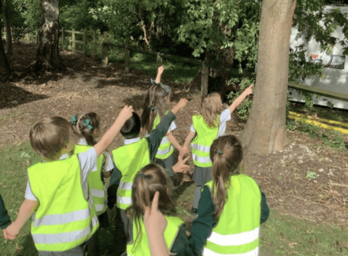 Reception taking part in Forest School